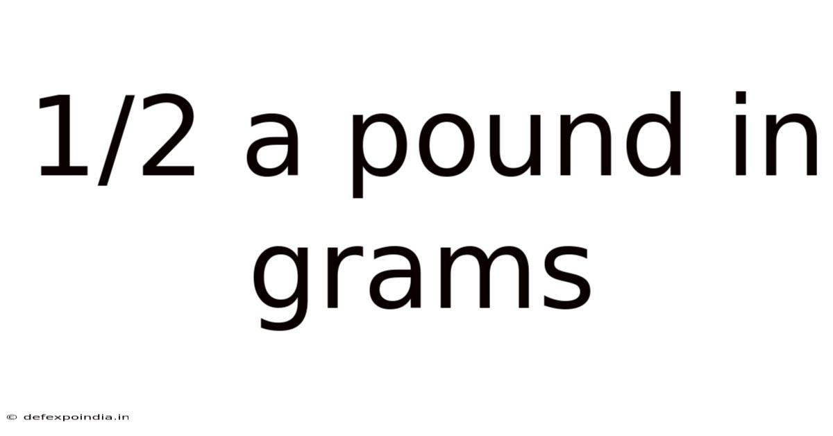 1/2 A Pound In Grams