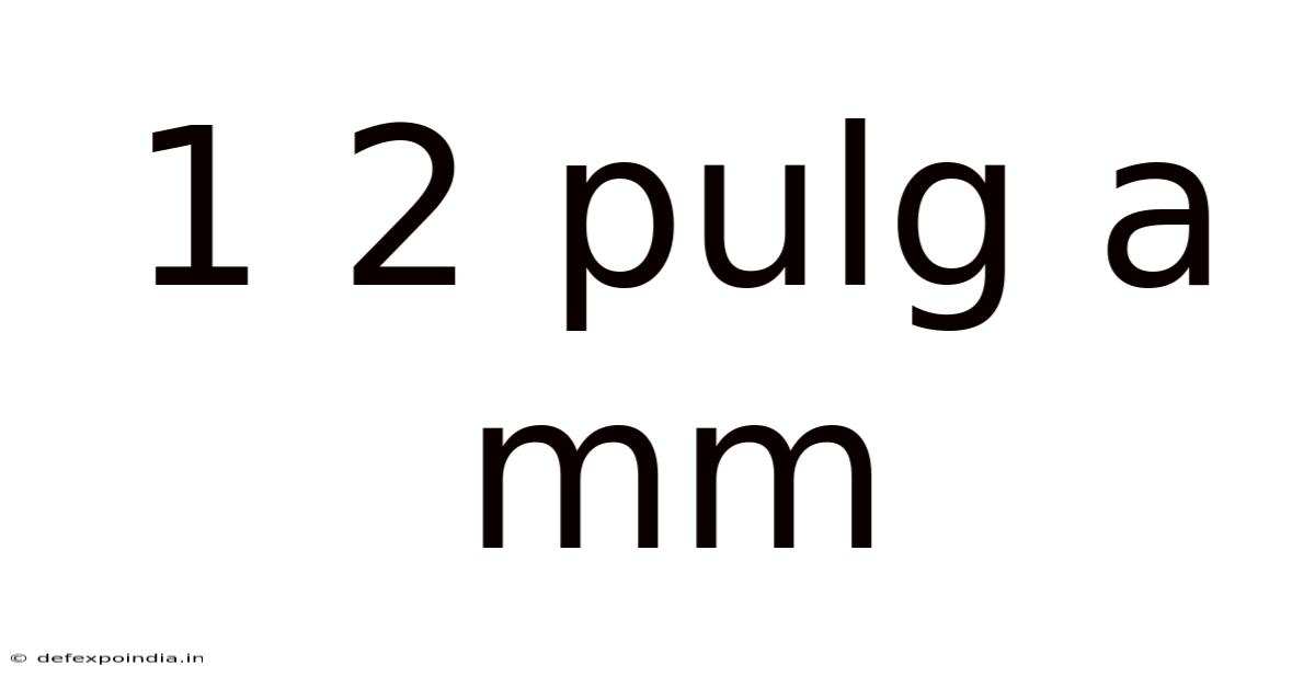 1 2 Pulg A Mm