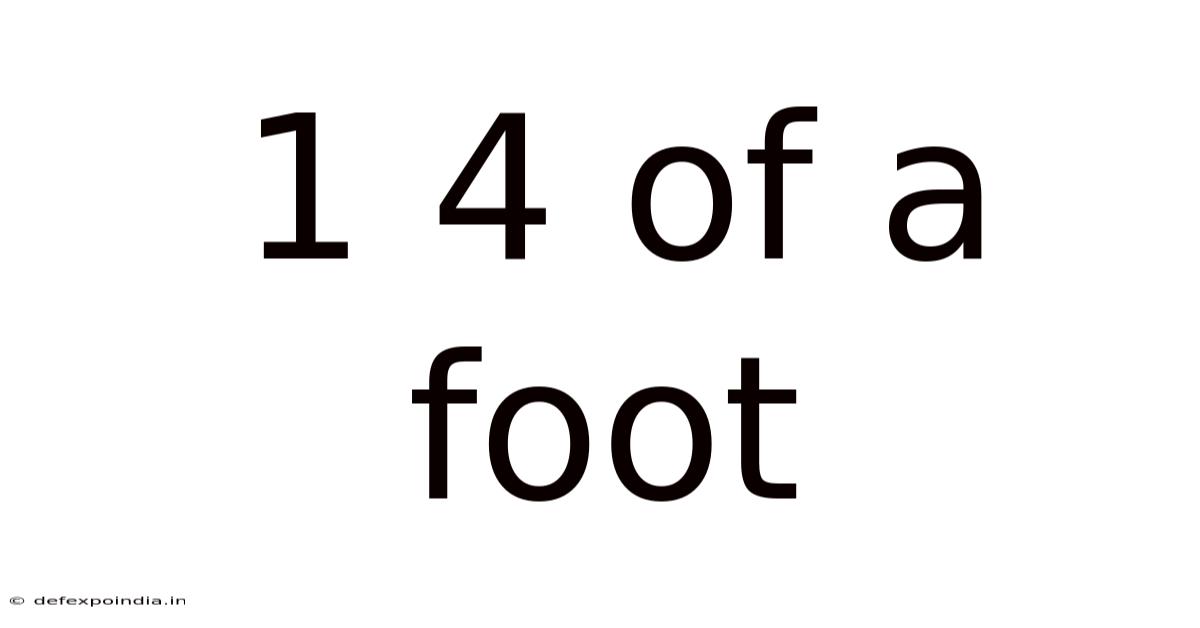 1 4 Of A Foot