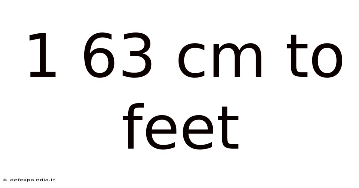 1 63 Cm To Feet