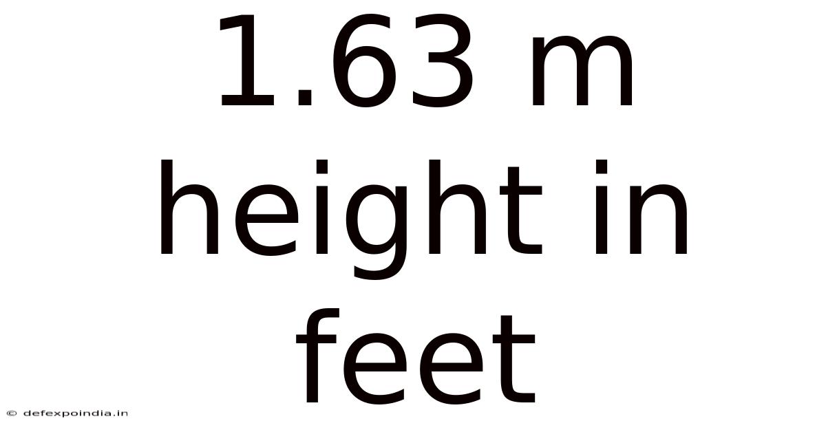 1.63 M Height In Feet