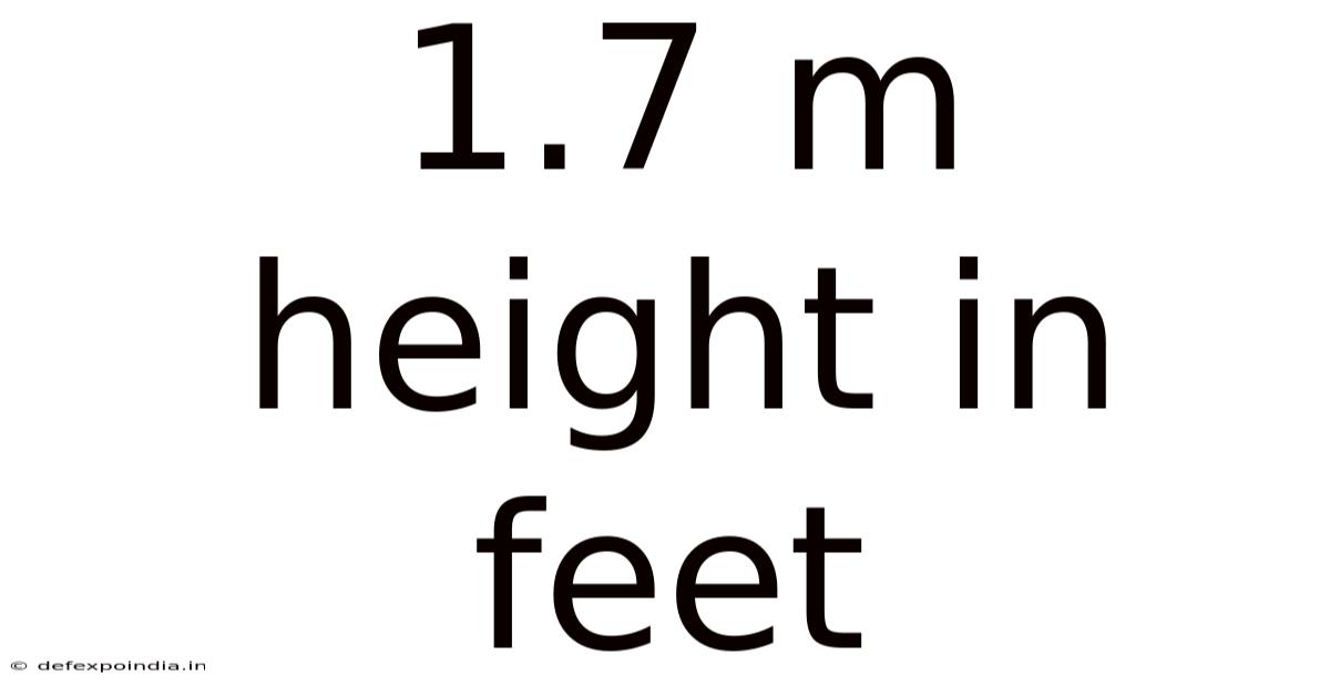 1.7 M Height In Feet