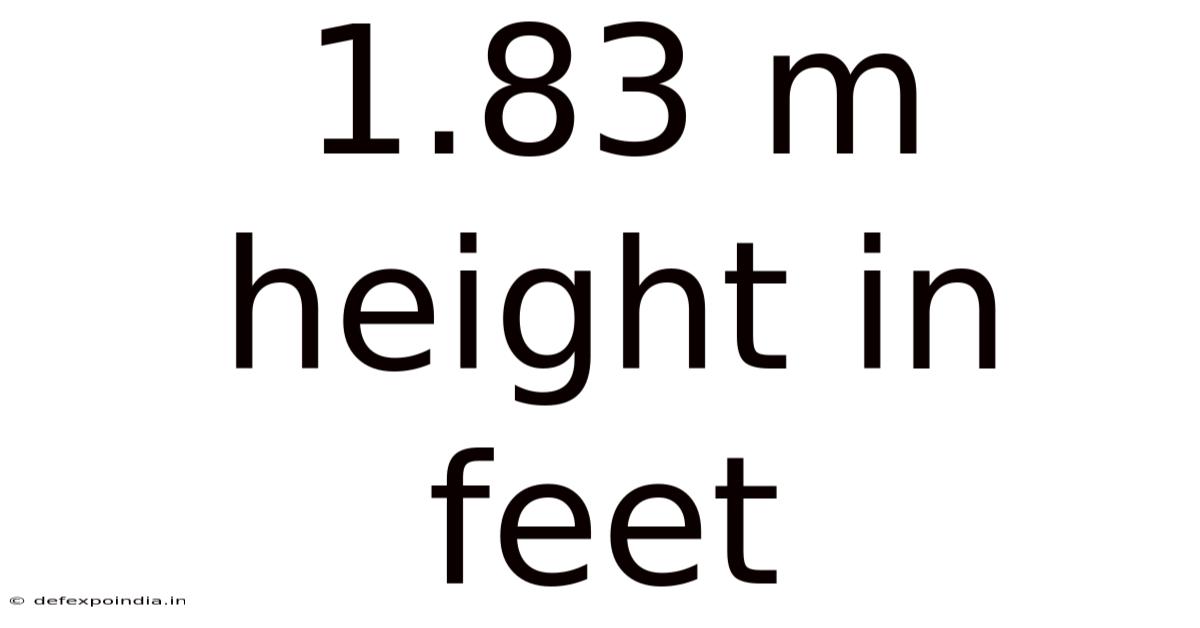 1.83 M Height In Feet