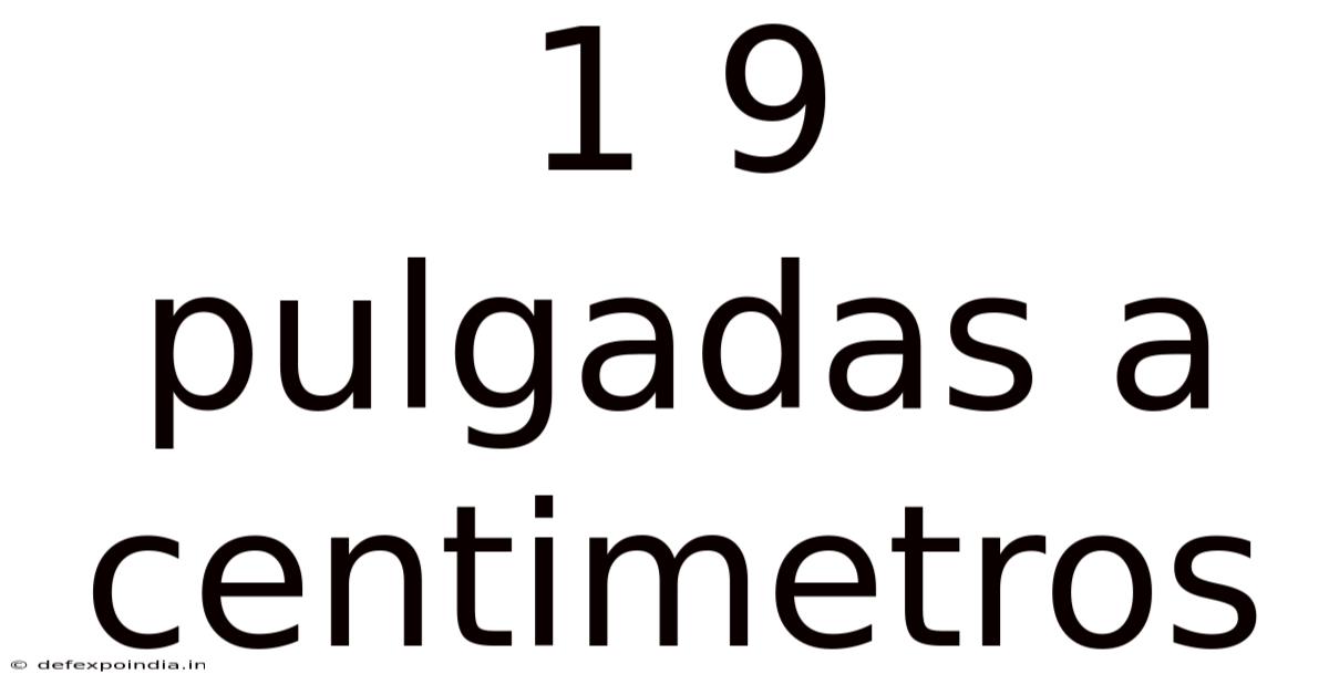 1 9 Pulgadas A Centimetros