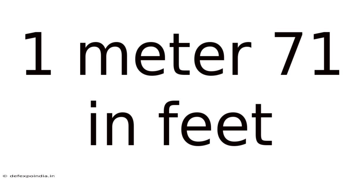 1 Meter 71 In Feet