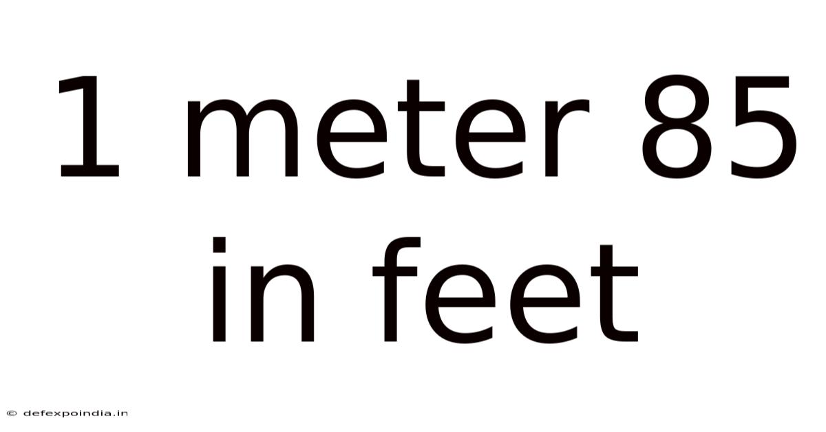 1 Meter 85 In Feet