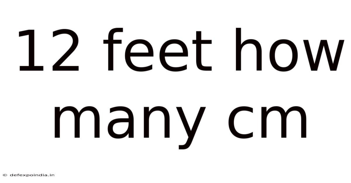 12 Feet How Many Cm