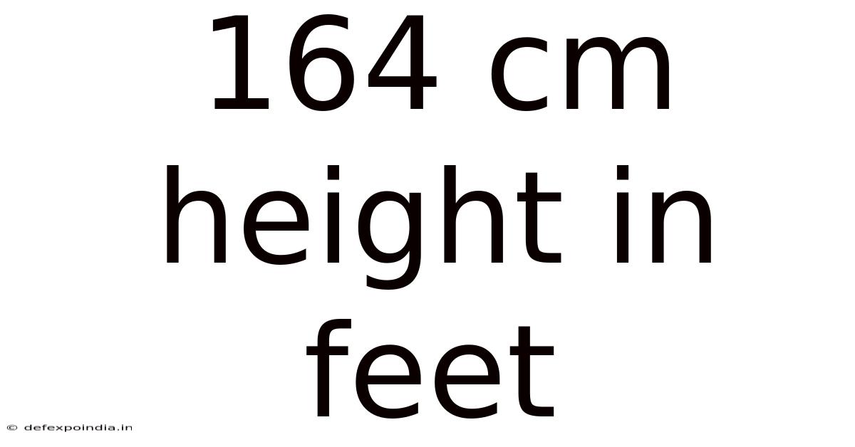 164 Cm Height In Feet