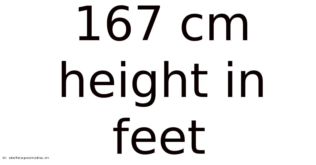 167 Cm Height In Feet