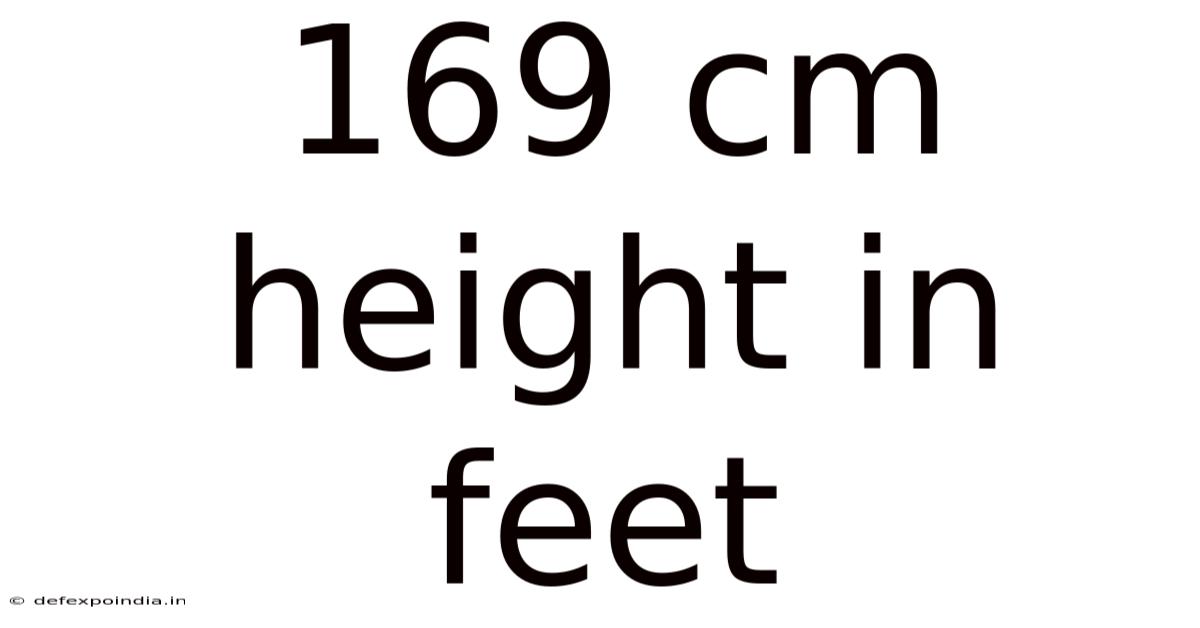169 Cm Height In Feet