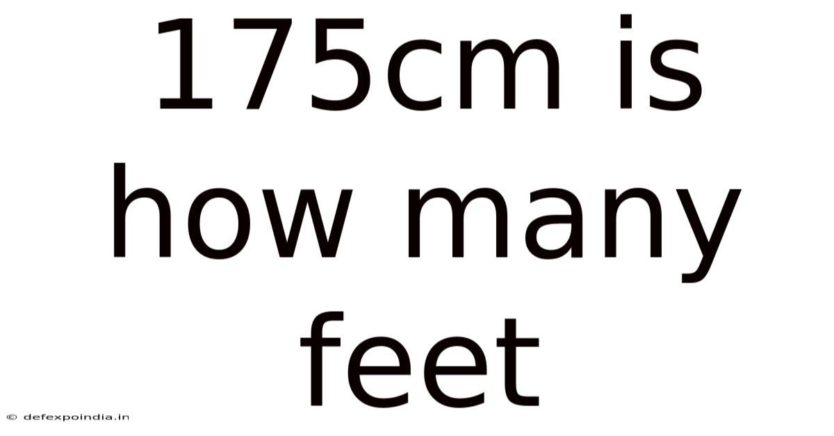 175cm Is How Many Feet