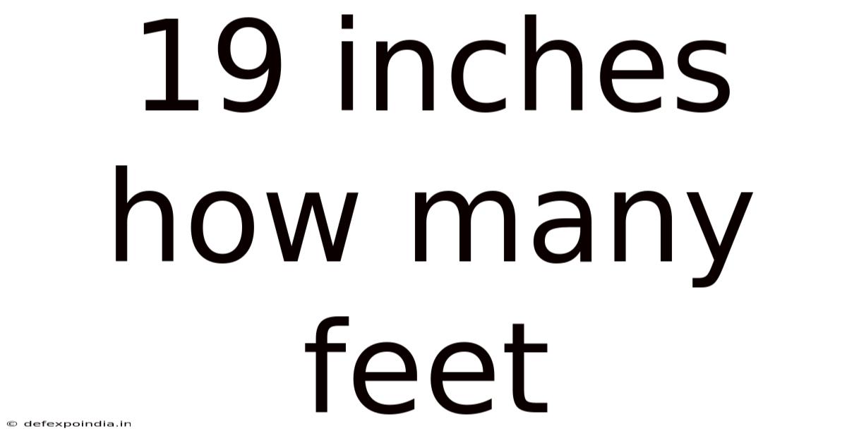 19 Inches How Many Feet