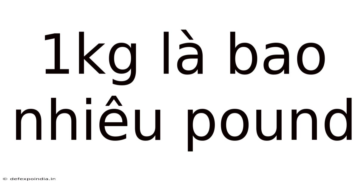 1kg Là Bao Nhiêu Pound