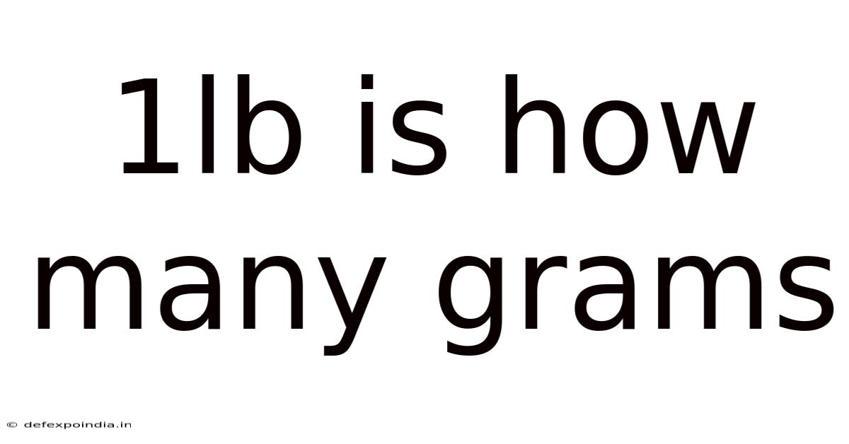 1lb Is How Many Grams
