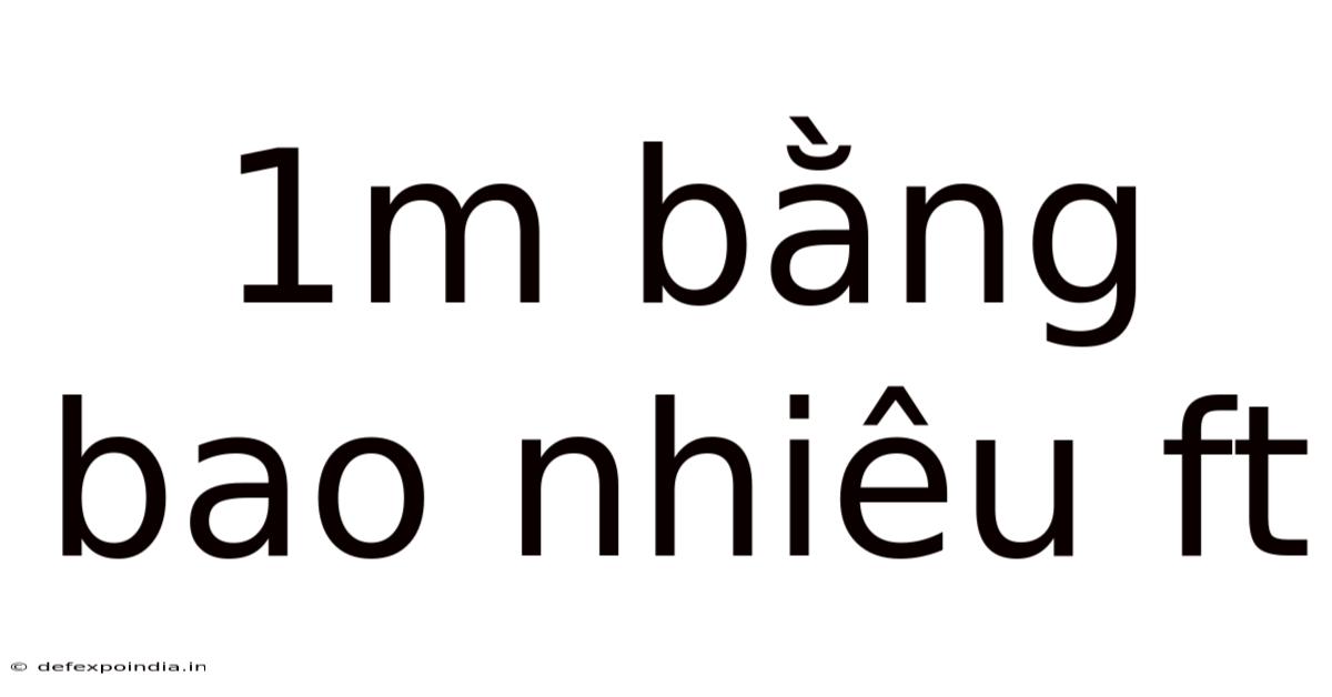 1m Bằng Bao Nhiêu Ft