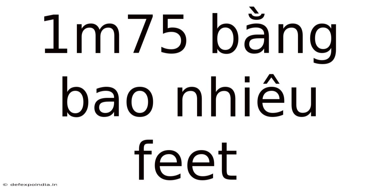 1m75 Bằng Bao Nhiêu Feet