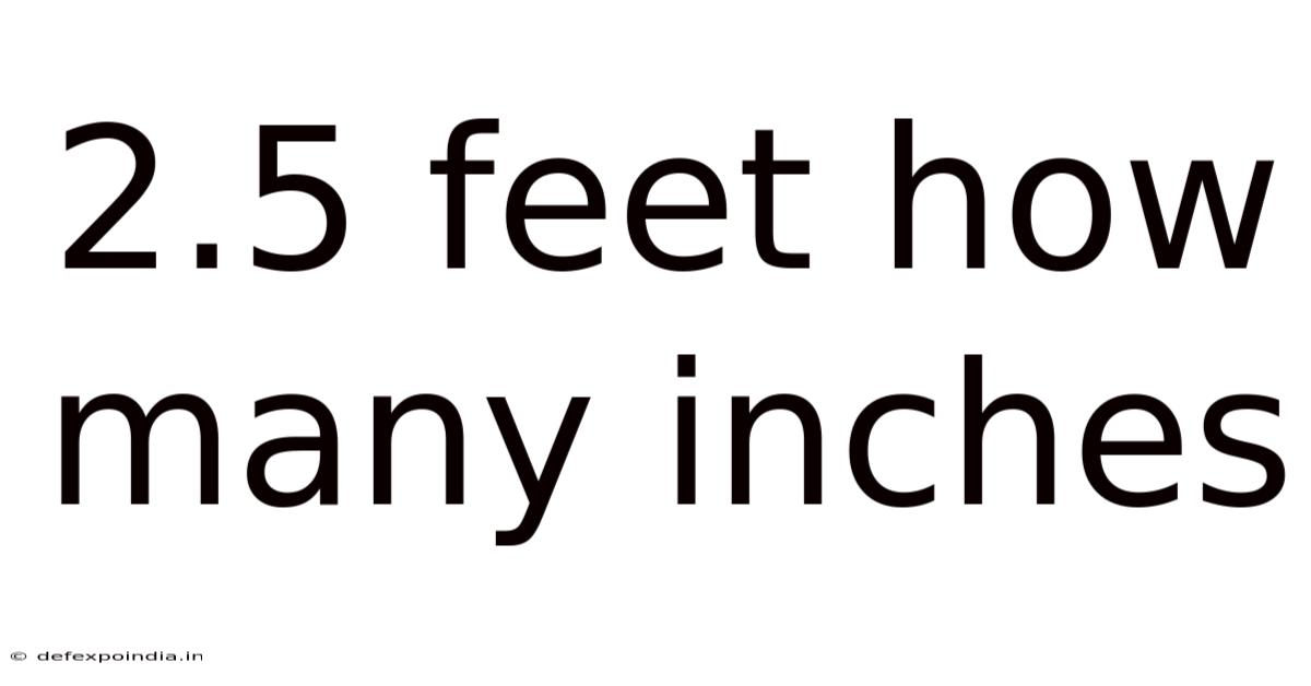 2.5 Feet How Many Inches