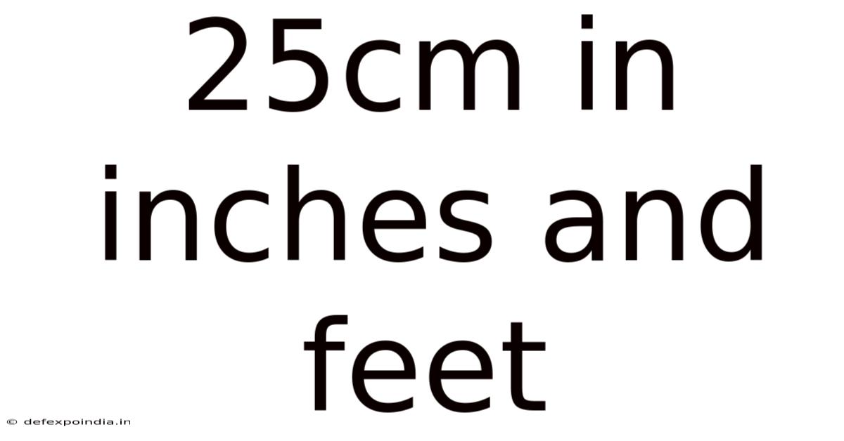25cm In Inches And Feet