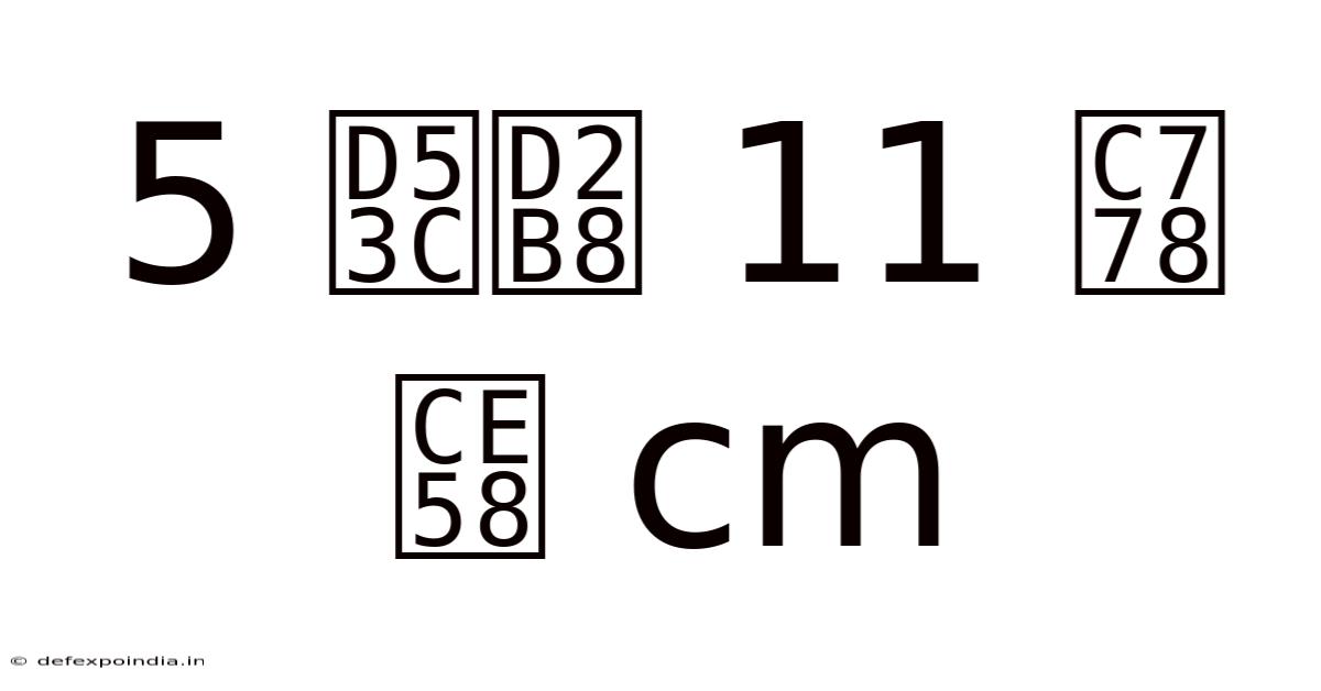5 피트 11 인치 Cm