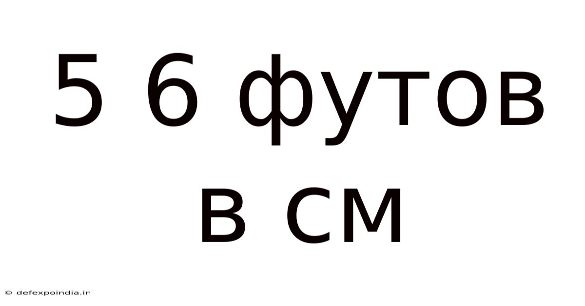 5 6 Футов В См