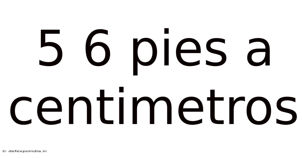 5 6 Pies A Centimetros