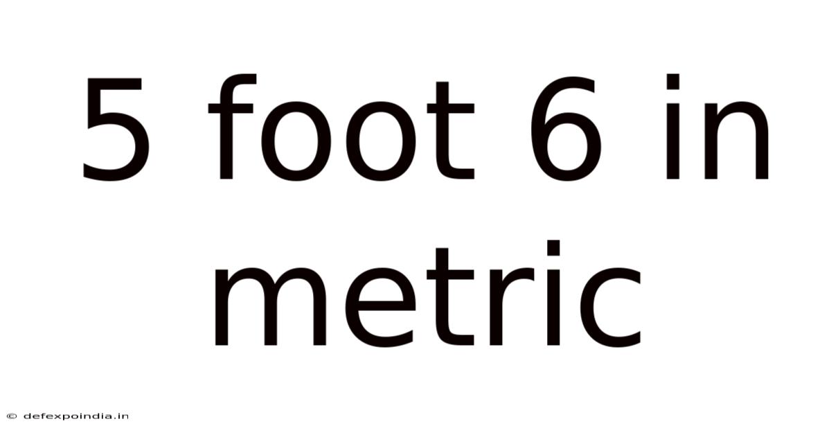 5 Foot 6 In Metric