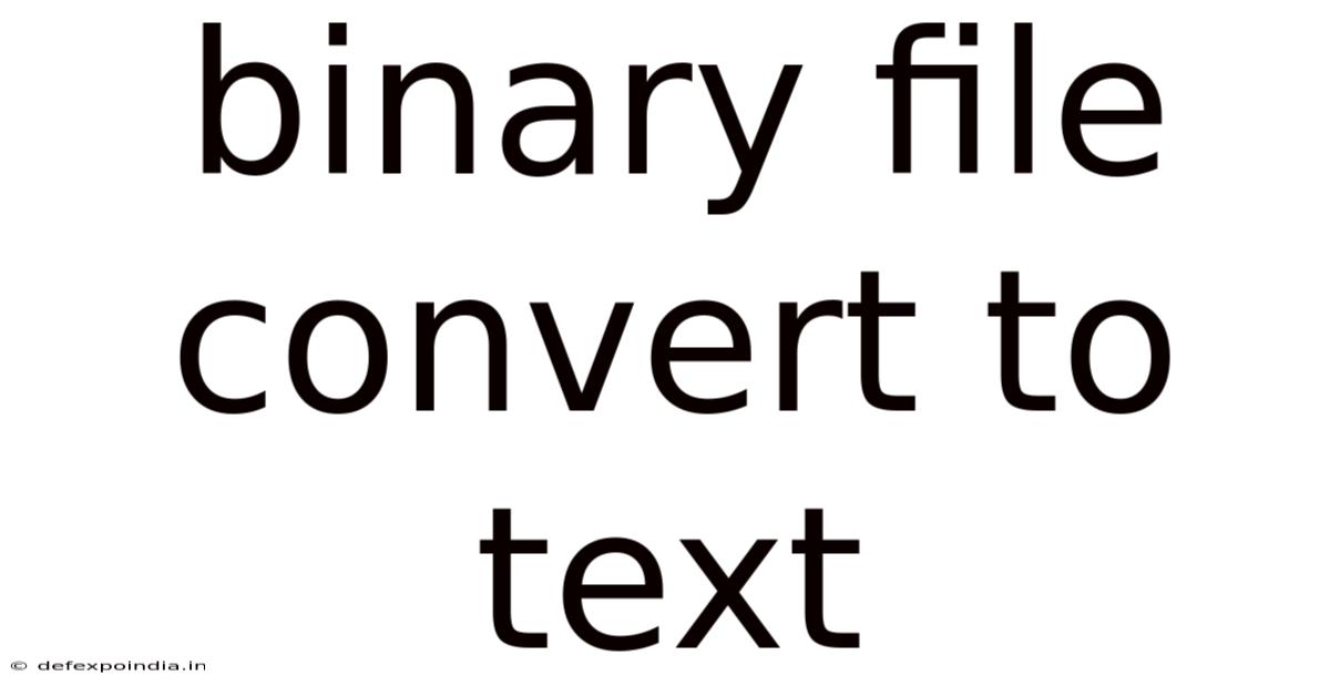 Binary File Convert To Text