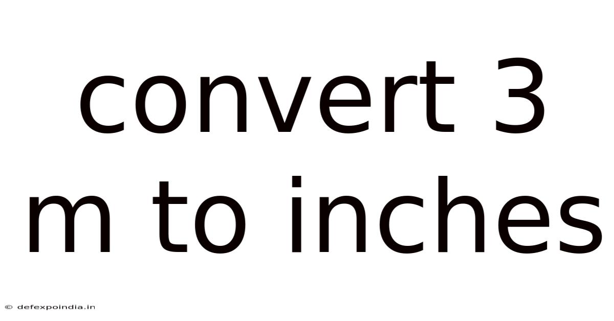 Convert 3 M To Inches