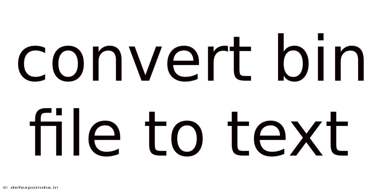 Convert Bin File To Text