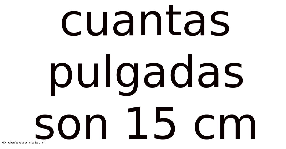 Cuantas Pulgadas Son 15 Cm
