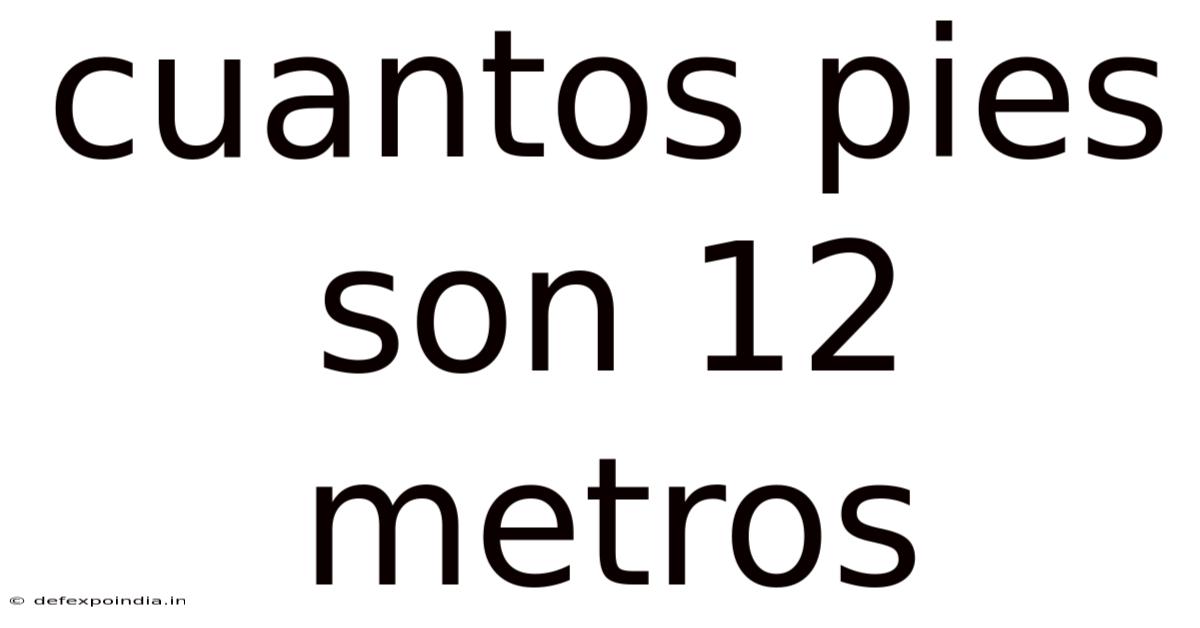 Cuantos Pies Son 12 Metros