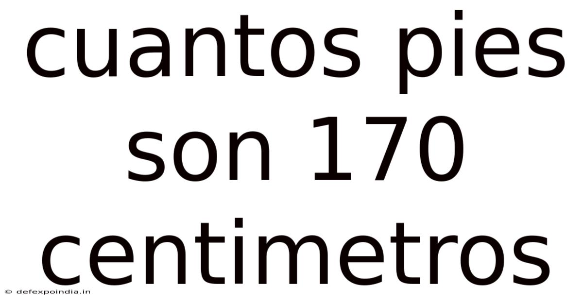 Cuantos Pies Son 170 Centimetros