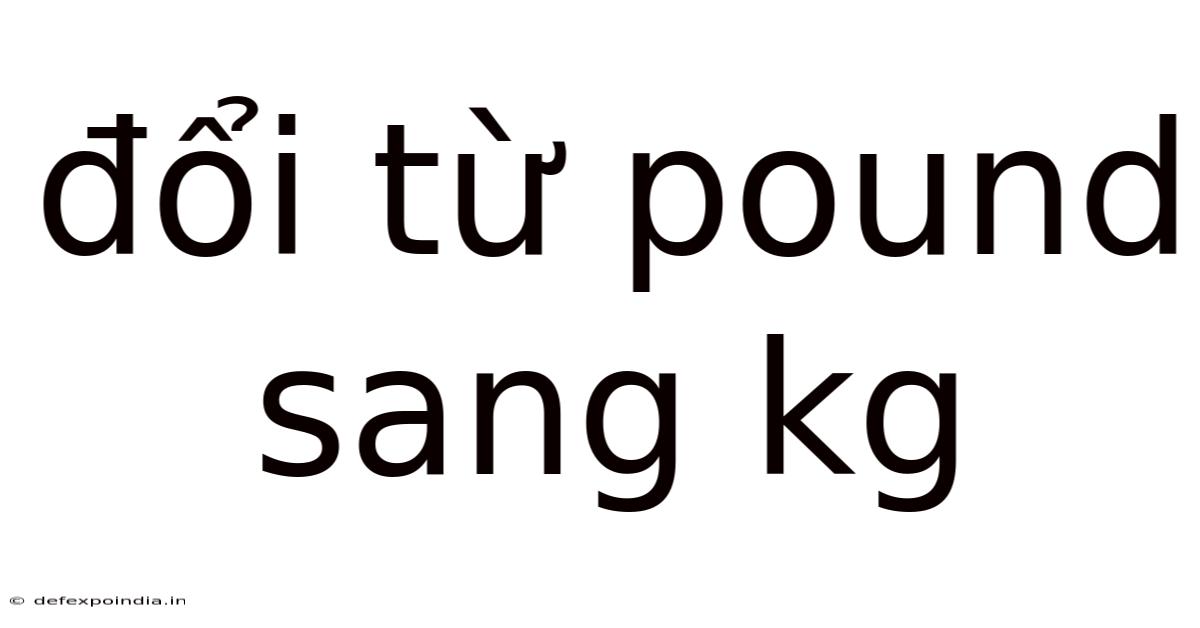 Đổi Từ Pound Sang Kg