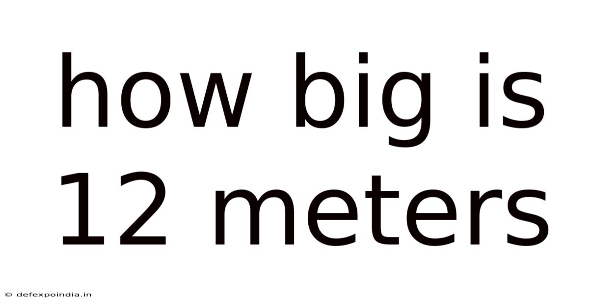 How Big Is 12 Meters
