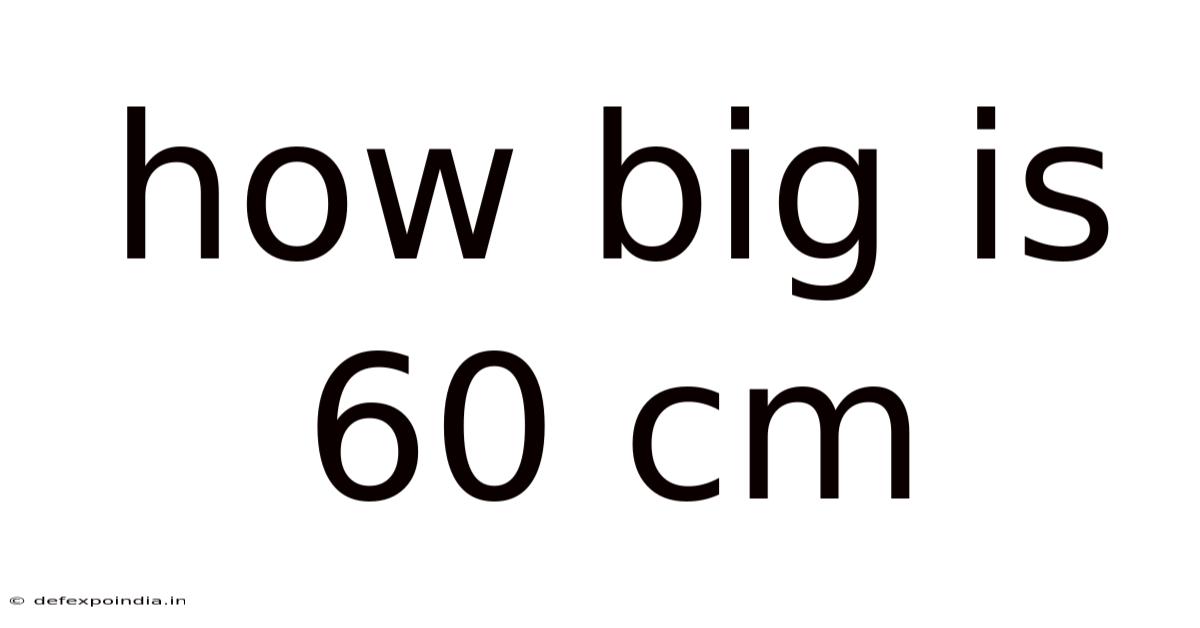 How Big Is 60 Cm