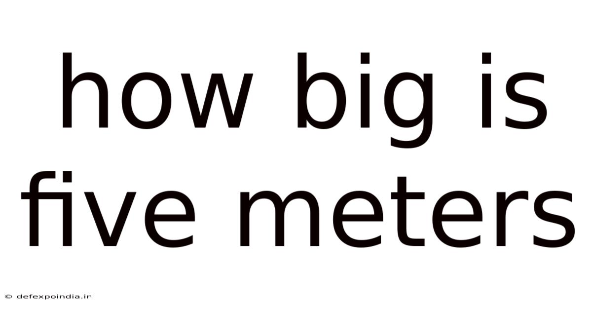 How Big Is Five Meters