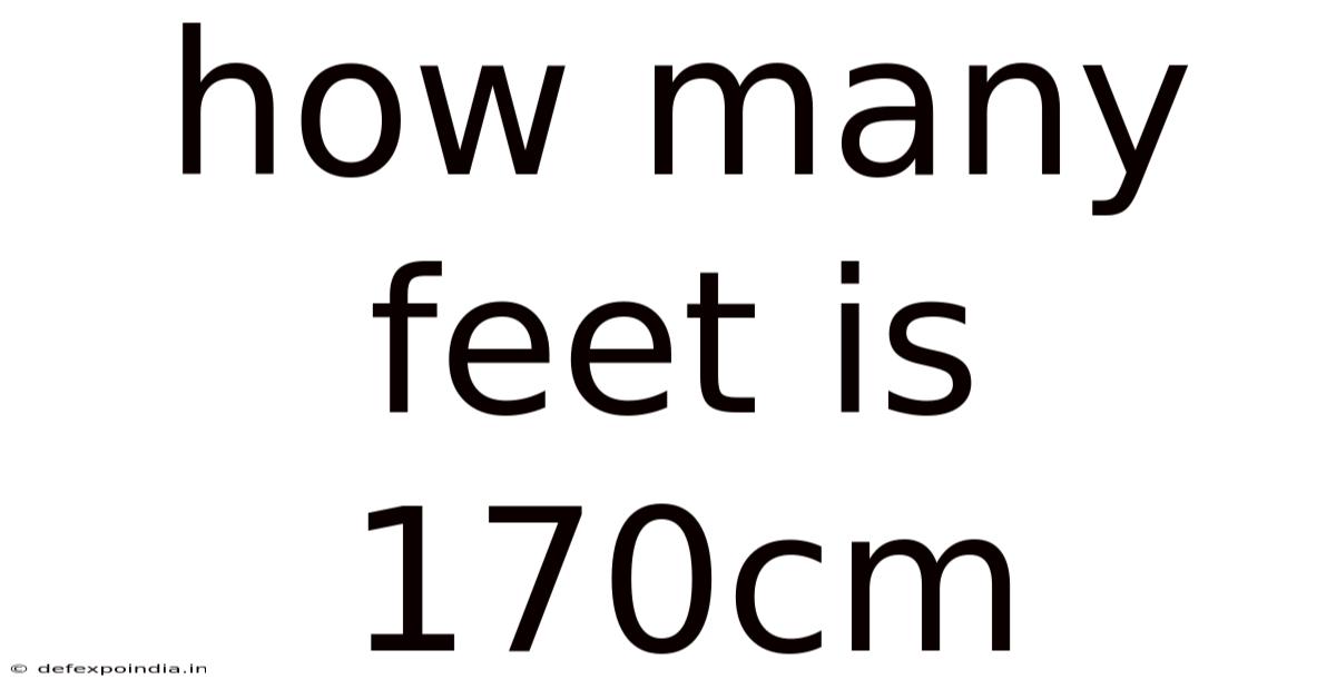 How Many Feet Is 170cm