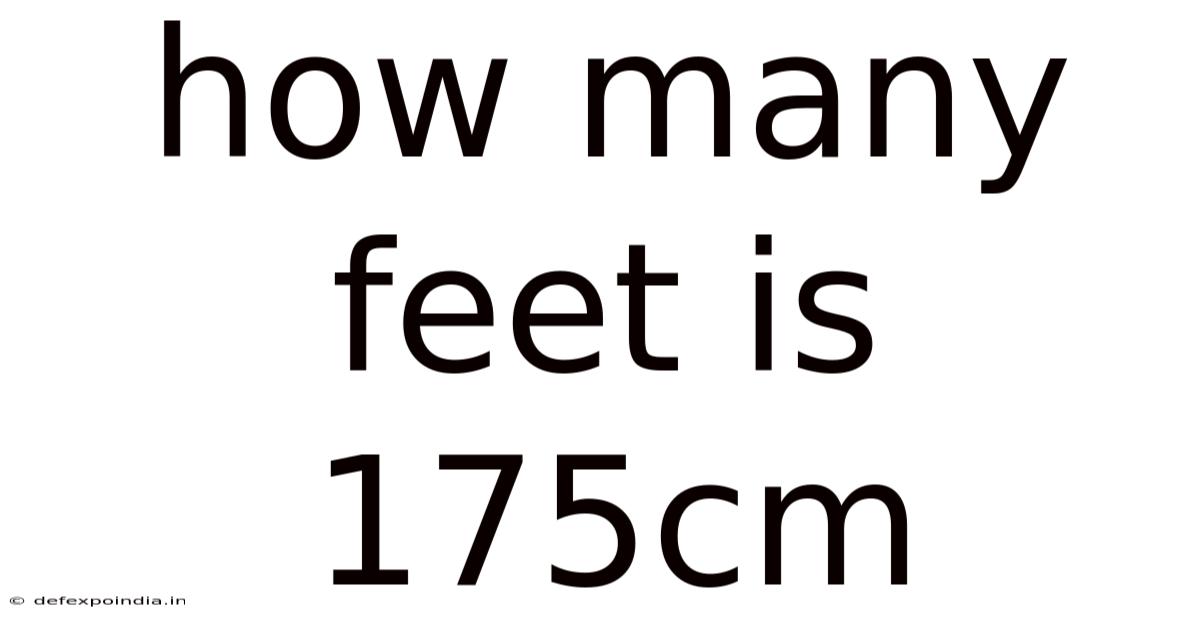 How Many Feet Is 175cm