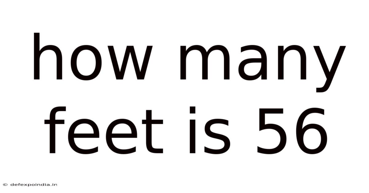 How Many Feet Is 56