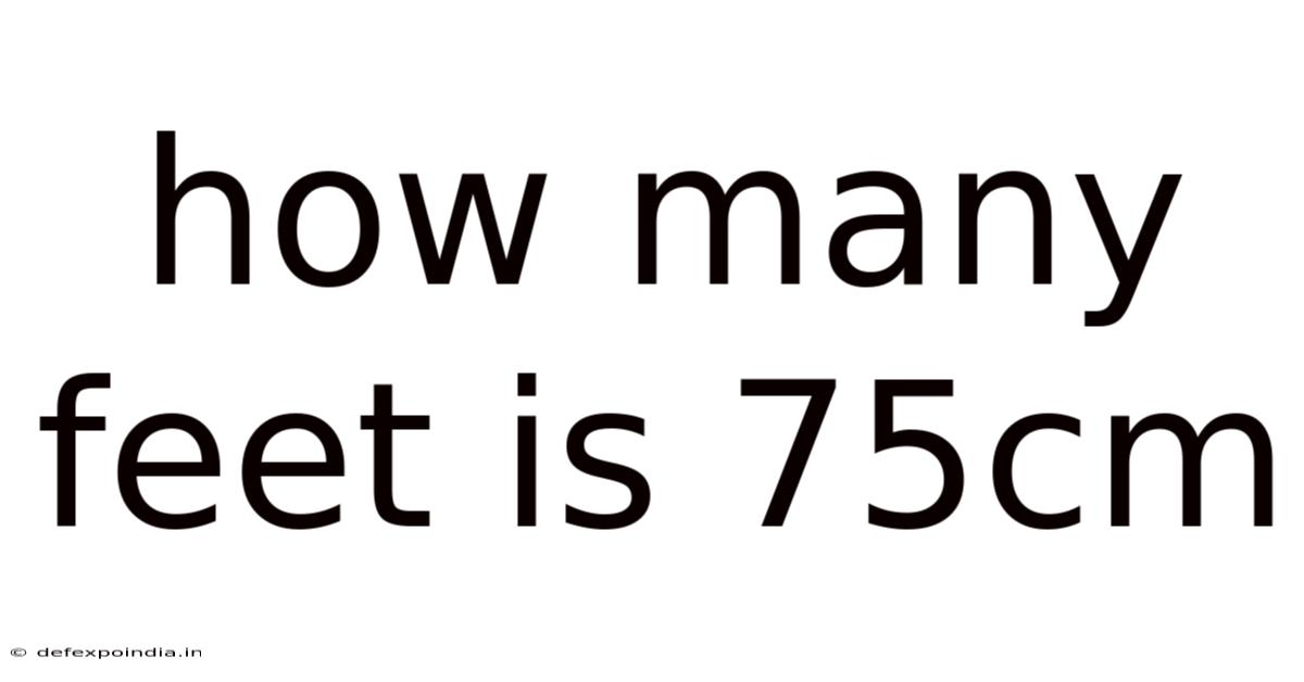 How Many Feet Is 75cm