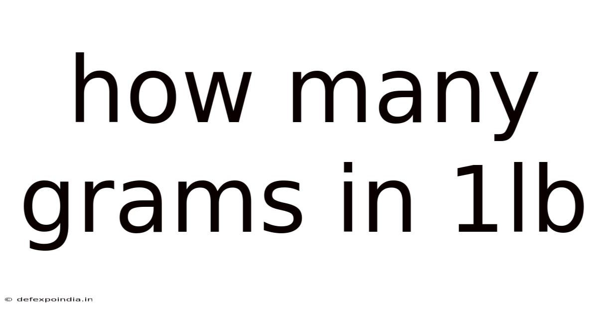 How Many Grams In 1lb