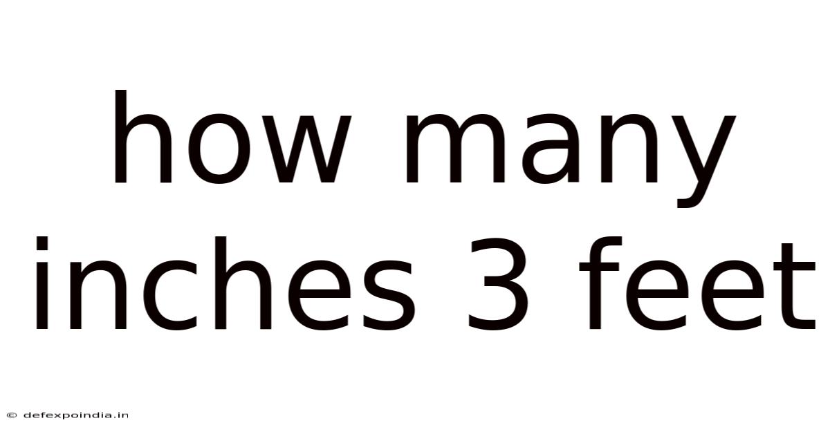 How Many Inches 3 Feet