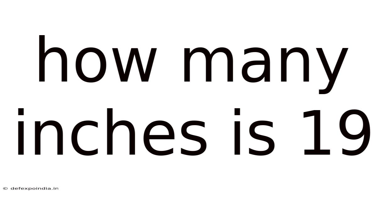 How Many Inches Is 19