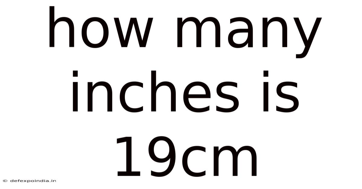 How Many Inches Is 19cm