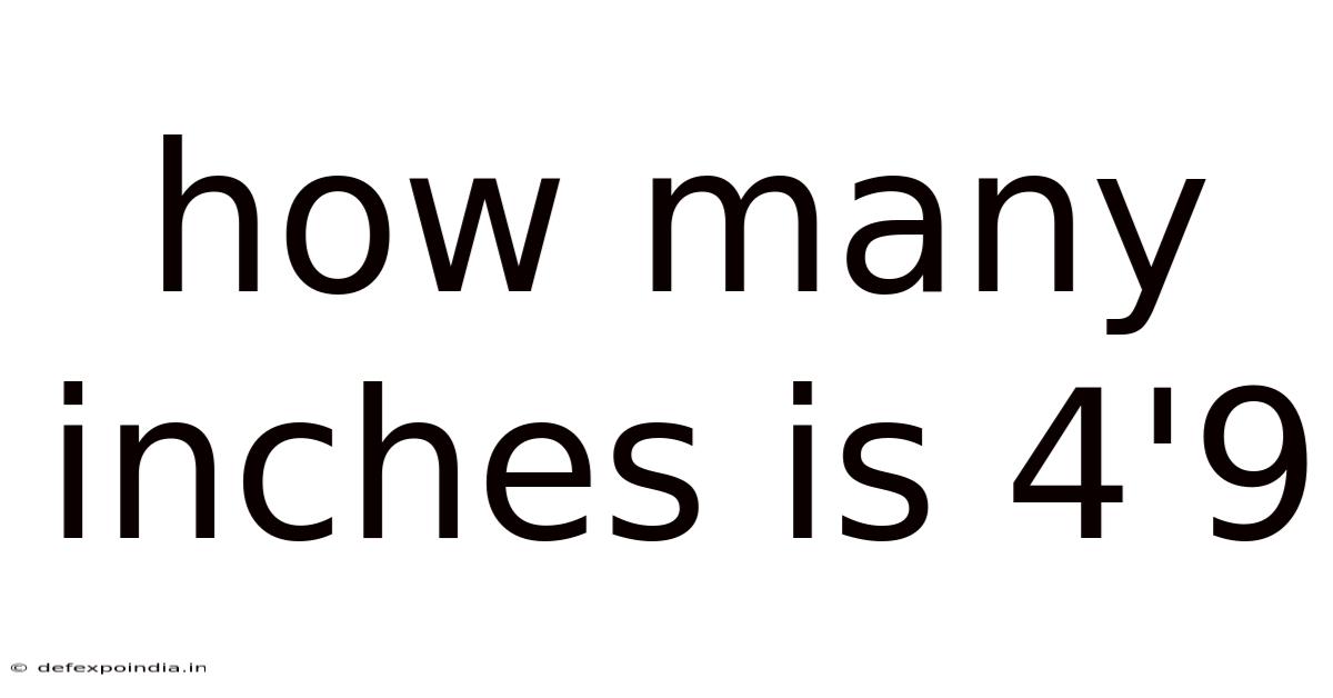 How Many Inches Is 4'9