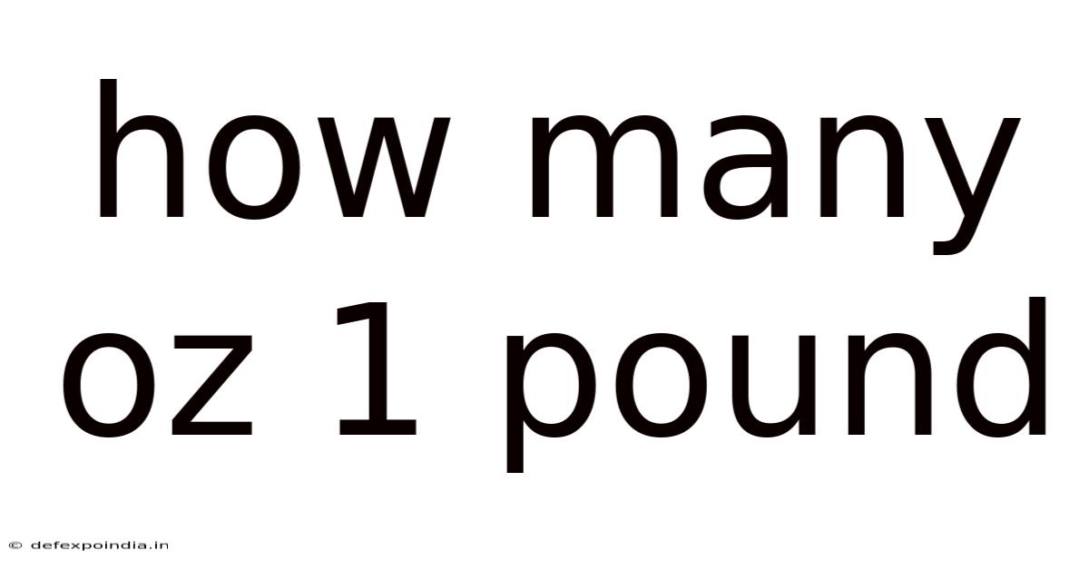 How Many Oz 1 Pound
