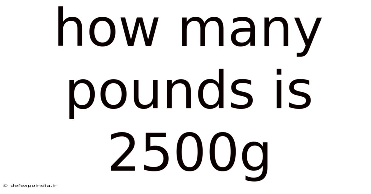 How Many Pounds Is 2500g