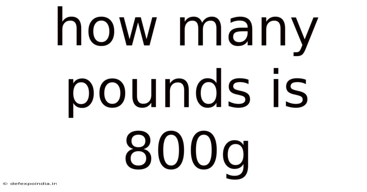 How Many Pounds Is 800g