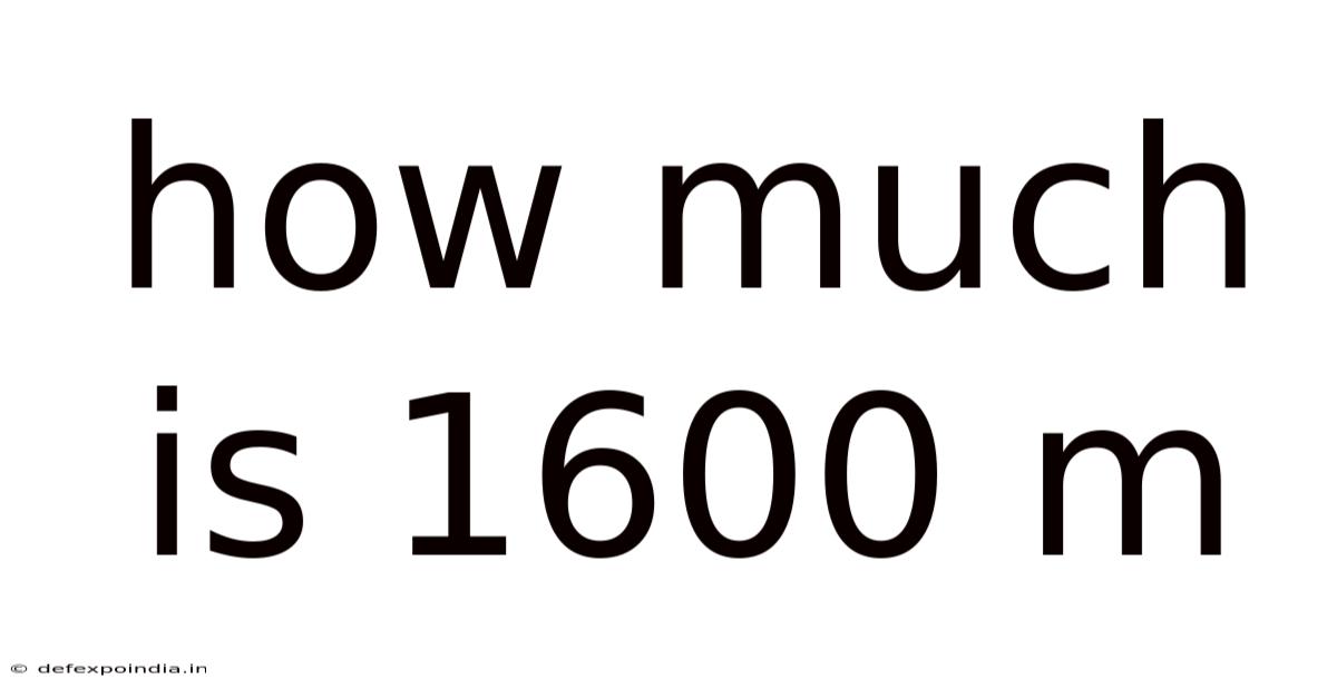 How Much Is 1600 M