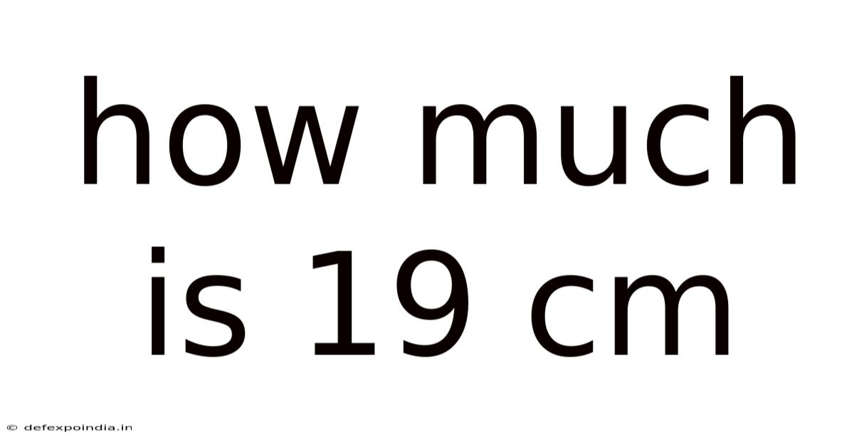 How Much Is 19 Cm